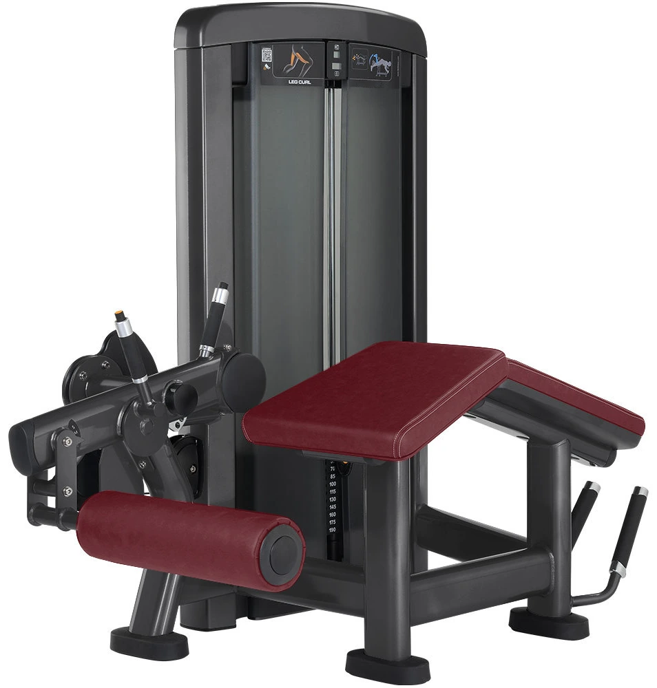 UL-5019